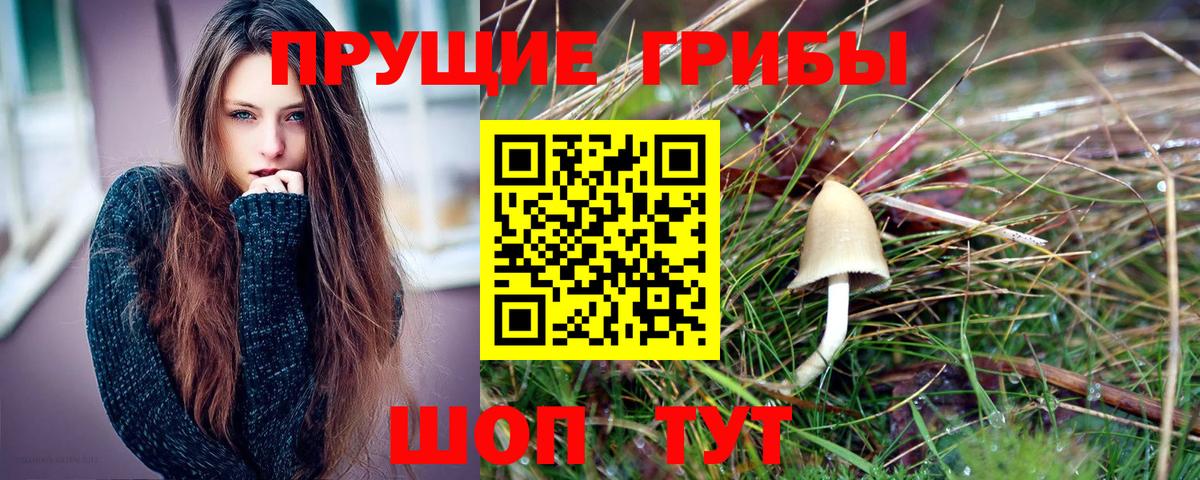 Галлюциногенные грибы GOLDEN TEACHER  Вход с VPN  Галлюциногенные грибы Cubensis  Кулебаки 