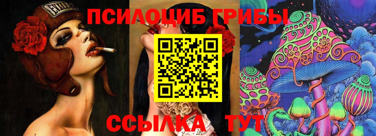 Псилоцибиновые грибы Psilocybine cubensis Кулебаки