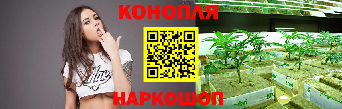 Каннабис планчик  Бошки марихуана индика  Кулебаки  Вход с VPN  Марихуана ГИДРОПОН  Канабис Ganja 